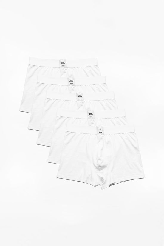 Boxer Briefs in White (5-pack)